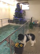 Превью фото № 219237