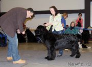 Превью фото № 219241