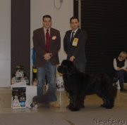 Превью фото № 219251