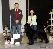 Превью фото № 219254