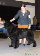 Превью фото № 219262