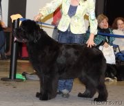 Превью фото № 219266