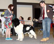 Превью фото № 219280