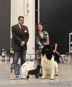 Превью фото № 219282