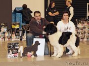 Превью фото № 219289