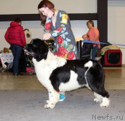 Превью фото № 219298