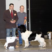 Превью фото № 219305