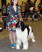 Превью фото № 219307