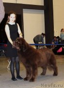 Превью фото № 219315