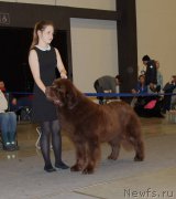 Превью фото № 219316