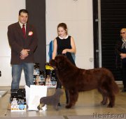 Превью фото № 219318