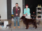 Превью фото № 219330