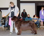 Превью фото № 219331