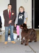 Превью фото № 219332