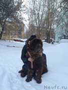 Превью фото № 219351