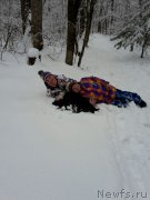 Превью фото № 219415