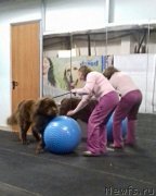 Превью фото № 219441