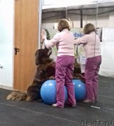 Превью фото № 219442