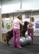 Превью фото № 219444