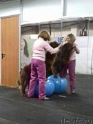 Превью фото № 219446