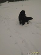 Превью фото № 219457