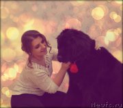 Превью фото № 219482