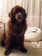 Превью фото № 219568