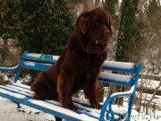 Превью фото № 219587