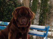 Превью фото № 219588