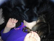 Превью фото № 219591