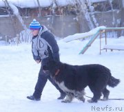 Превью фото № 219602
