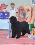 Превью фото № 219606