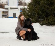 Превью фото № 219669