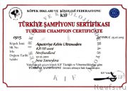 Превью фото № 219814