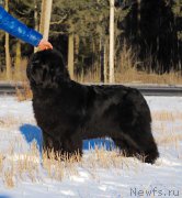 Превью фото № 219872