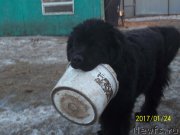 Превью фото № 219876