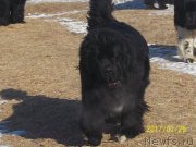 Превью фото № 219877