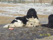 Превью фото № 219879