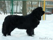 Превью фото № 219939