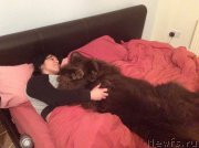 Превью фото № 219984