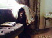 Превью фото № 219985