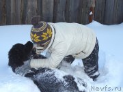 Превью фото № 219999