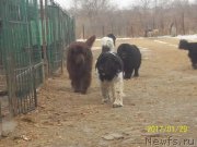 Превью фото № 220024