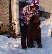 Превью фото № 220167