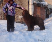 Превью фото № 220169