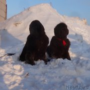 Превью фото № 220171