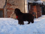 Превью фото № 220177