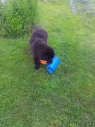 Превью фото № 220184