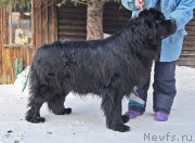 Превью фото № 220199