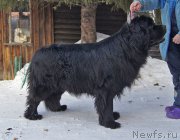 Превью фото № 220200